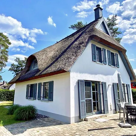Sterntaucher